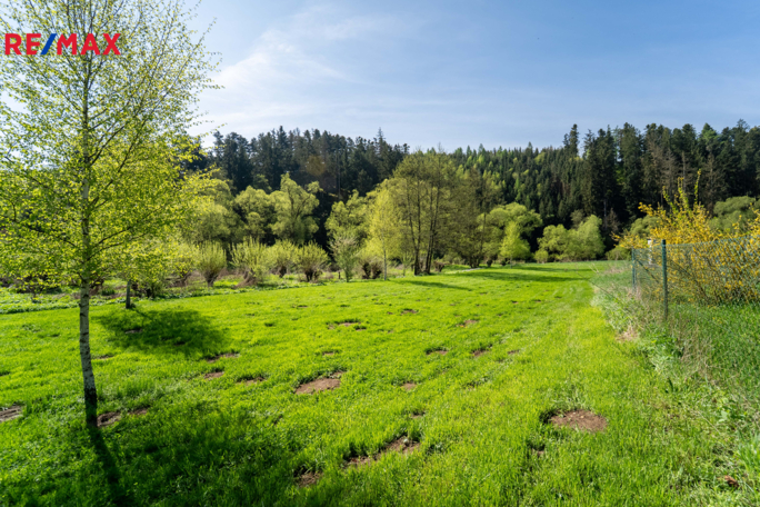 2787228.jpg 2787228.jpg