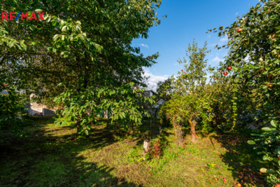 3041332.jpg 3041332.jpg