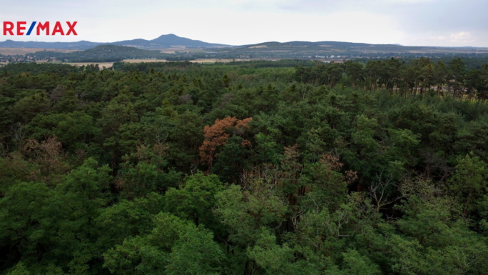 Realitní makléř Brno Realitní makléř Brno