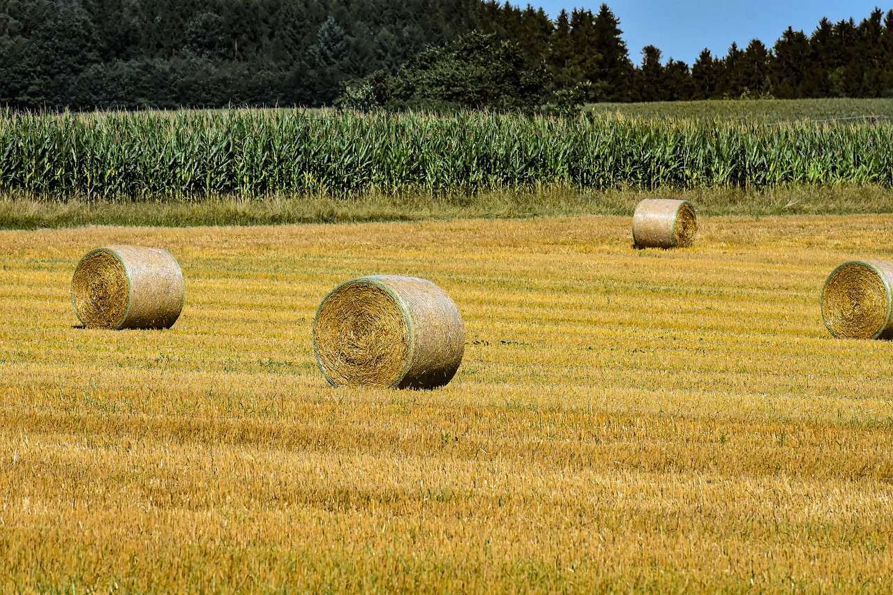 Jak postupovat při rozdělení pozemku