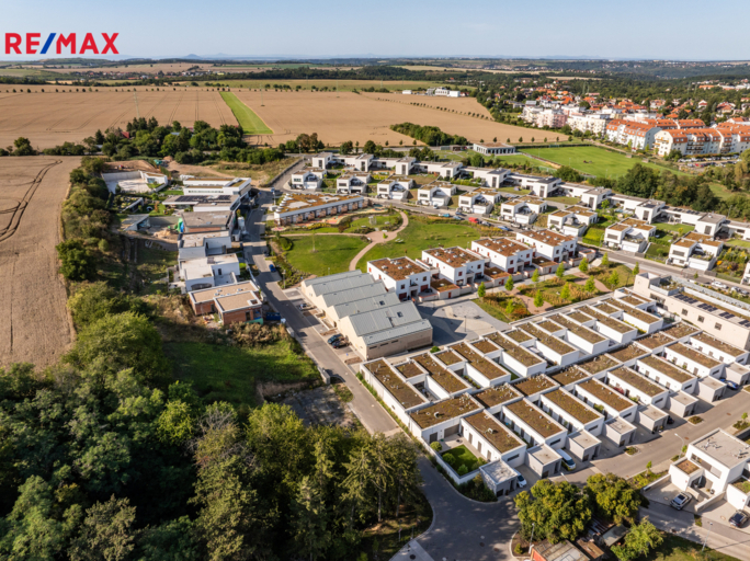 2951397.jpg 2951397.jpg