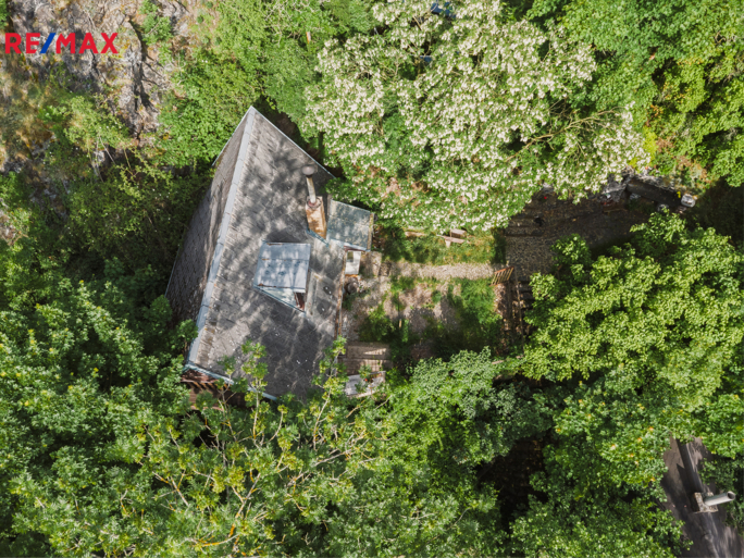 2830785.jpg 2830785.jpg