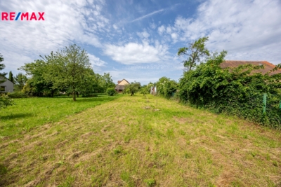 2997496.jpg 2997496.jpg