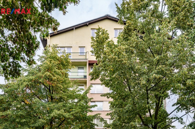 3067594.jpg 3067594.jpg