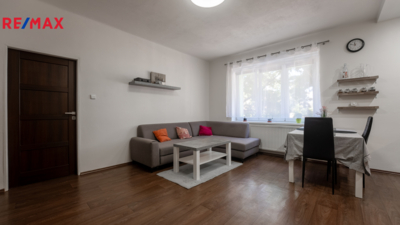 REMAX Delux