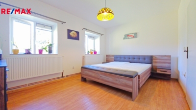 REMAX Delux REMAX Delux