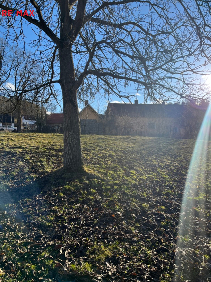 REMAX Brno REMAX Brno