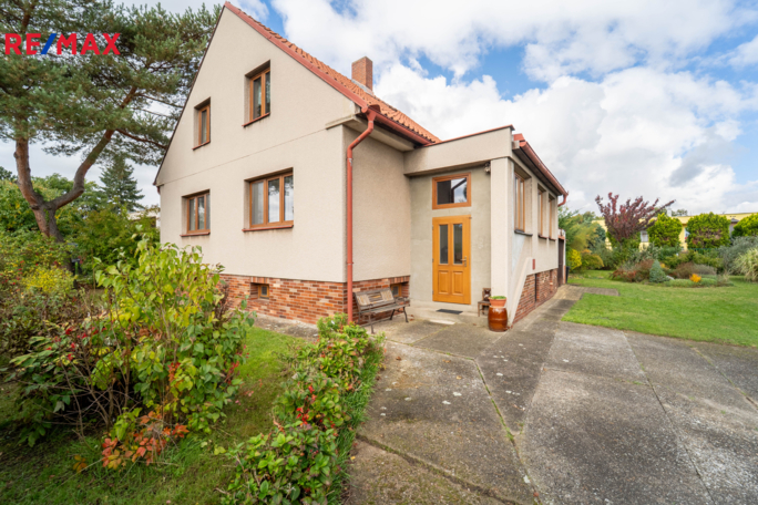 REMAX Delux REMAX Delux