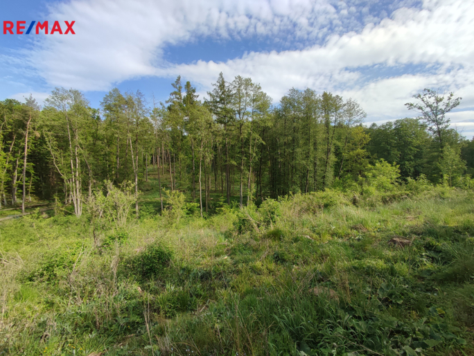 Tomáš Šimek Tomáš Šimek