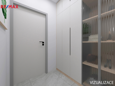 REMAX Delux