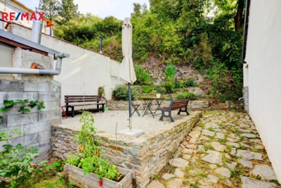 REMAX Delux