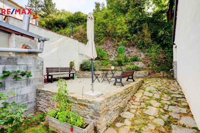 REMAX Delux