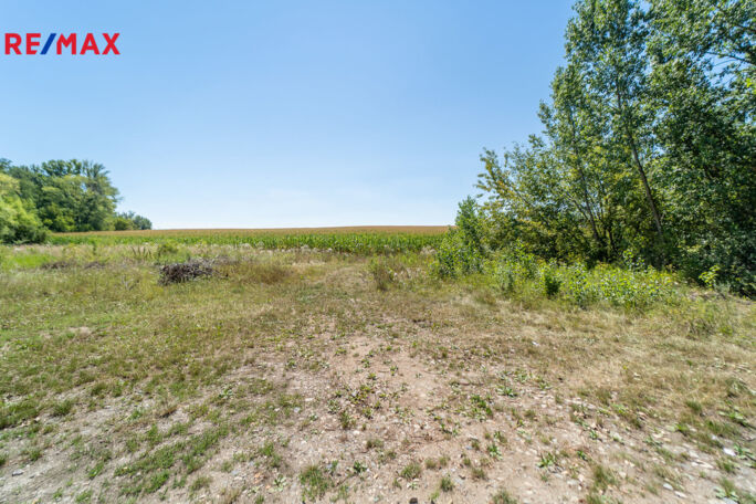 Prodej pozemku pro bydlení, 12306 m2, Šakvice - obrázek 9