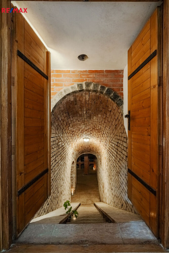 Prodej vinného sklepa, Prušánky - obrázek 17