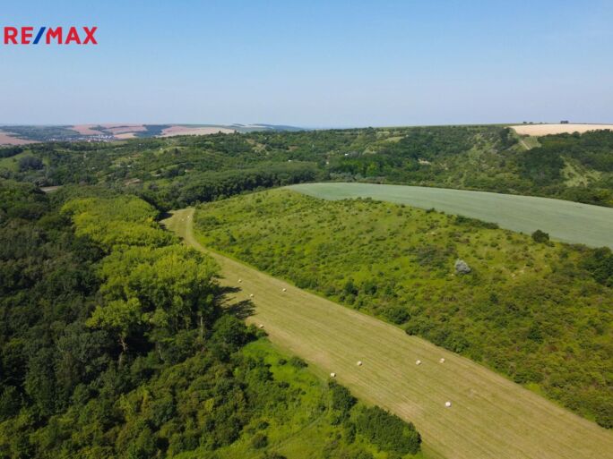 Prodej trvalého travního porostu, 4095 m2, Hustopeče - obrázek 4