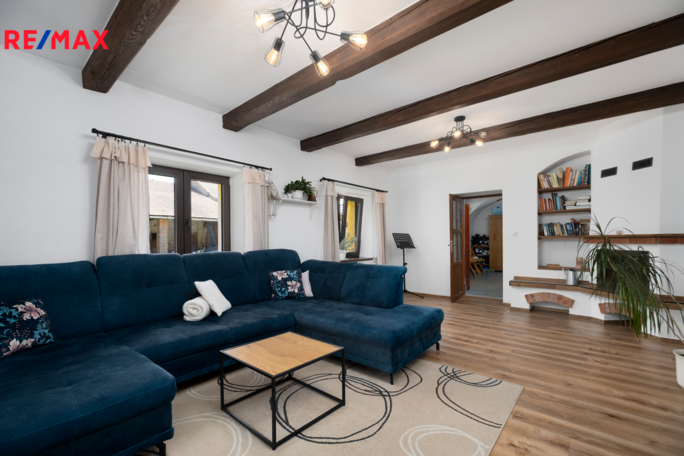 REMAX Delux