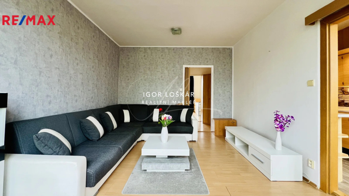 Pronájem bytu 2+1, 57 m2, Vyškov - obrázek 5