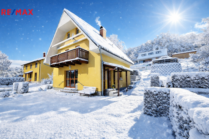 REMAX Delux REMAX Delux