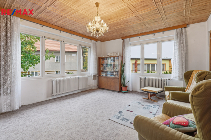 REMAX Delux REMAX Delux