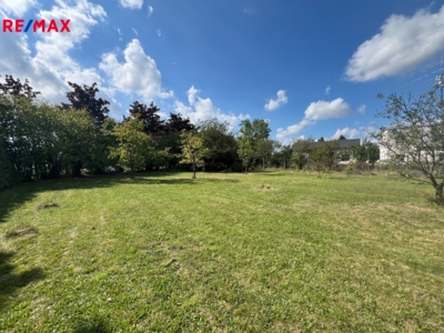 2994624.jpg 2994624.jpg