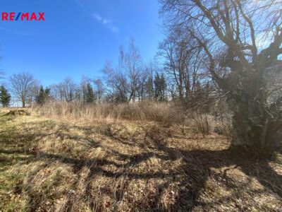 Realitní makléř Brno