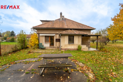 REMAX Delux REMAX Delux