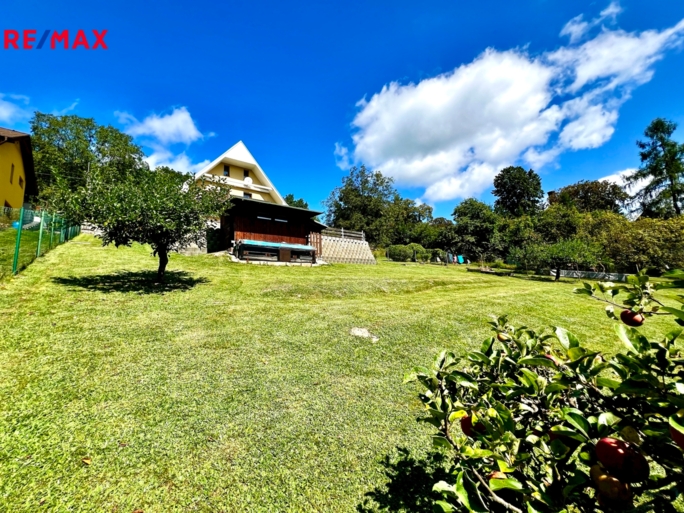 2964331.jpg 2964331.jpg