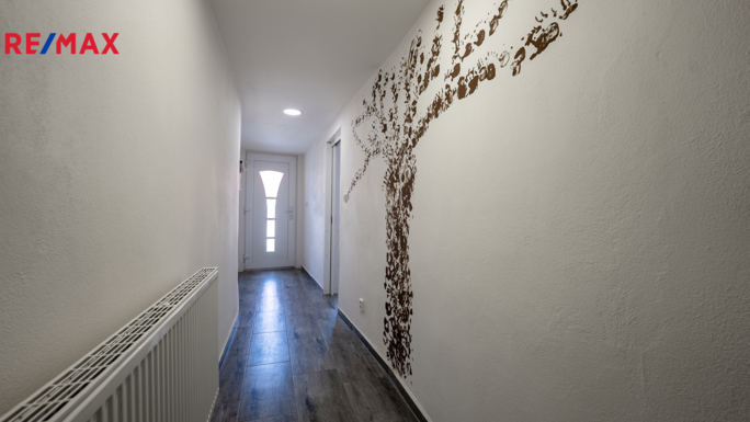 REMAX Delux