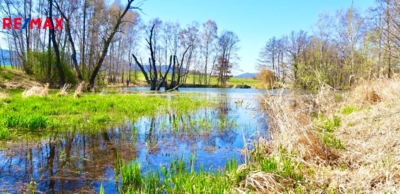 Realitní makléř Brno