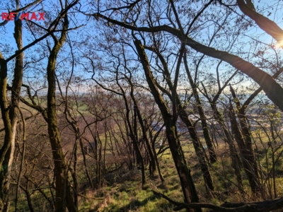 Tomáš Šimek Tomáš Šimek