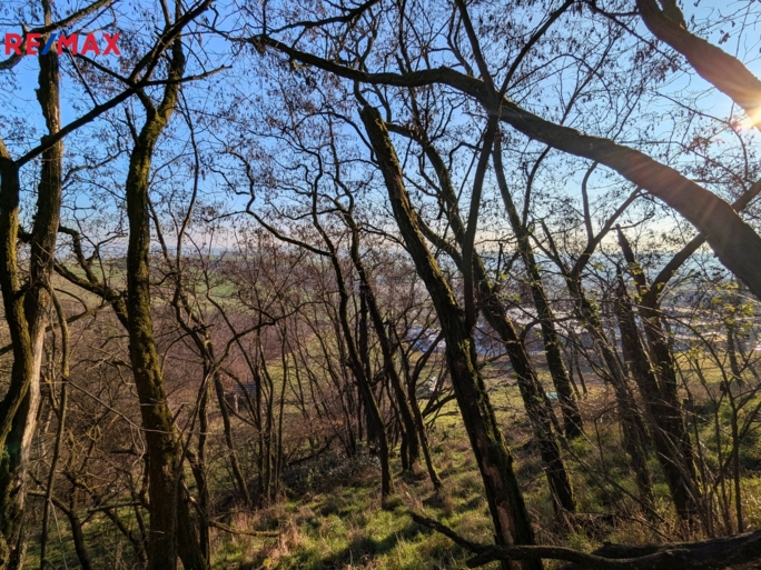 Prodej zahrady, 1754 m2, Viničné Šumice - obrázek 8
