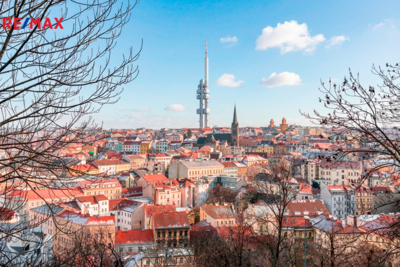 3172893.jpg 3172893.jpg