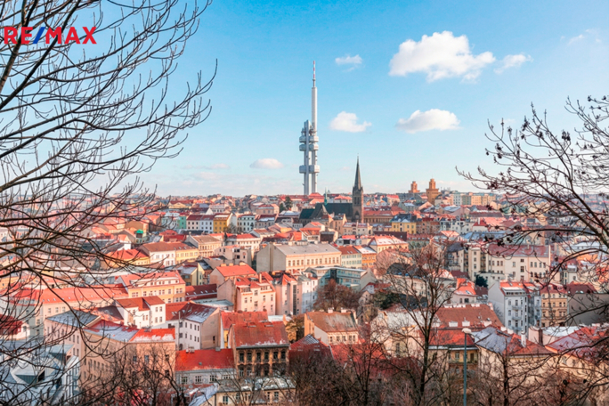 3172893.jpg 3172893.jpg