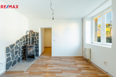 REMAX Delux REMAX Delux