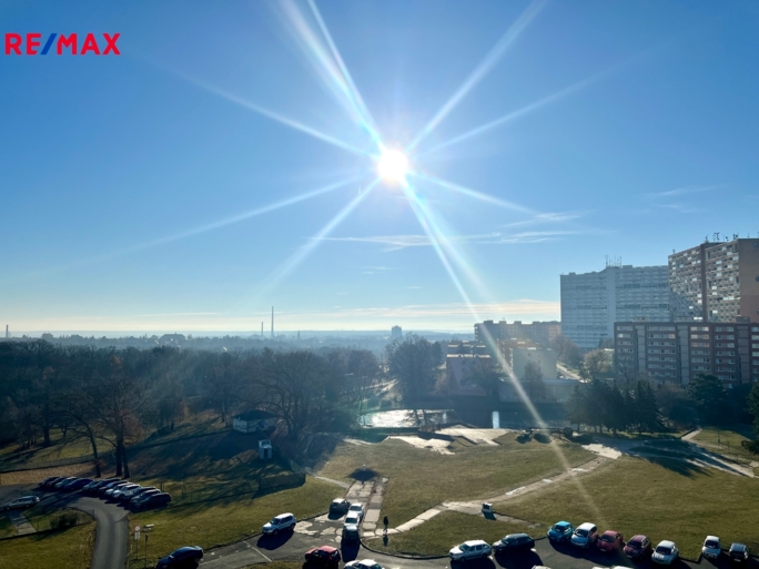 3142580.jpeg 3142580.jpeg