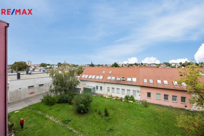 3065070.jpg 3065070.jpg