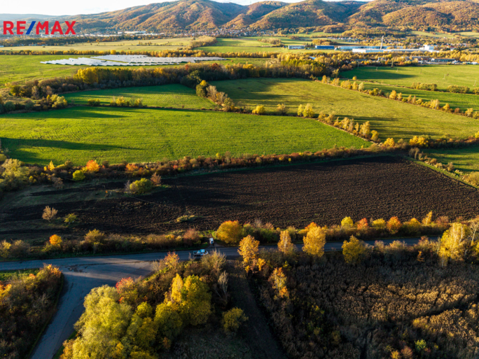 REMAX Brno REMAX Brno