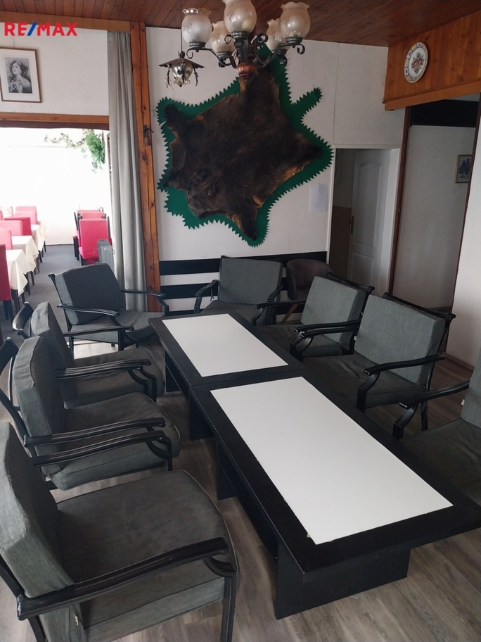 REMAX Delux REMAX Delux