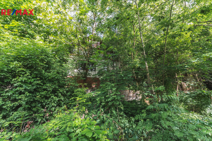 2830743.jpg 2830743.jpg