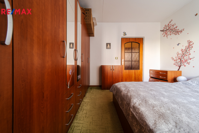 REMAX Delux