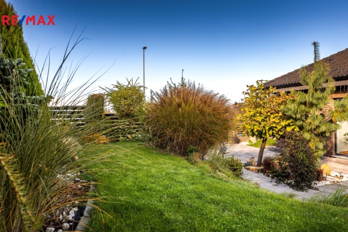 3073145.jpg 3073145.jpg