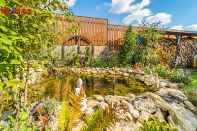 3033856.jpg 3033856.jpg