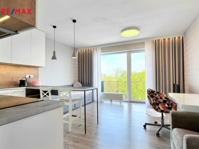 Pronájem bytu 1+kk, 39 m2, Plzeň