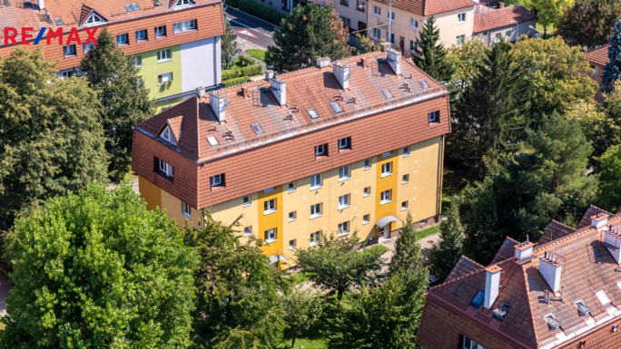 2953302.jpg