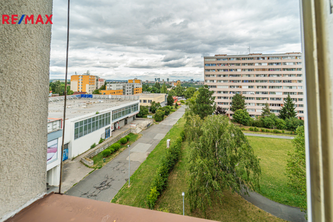 2931710.jpg 2931710.jpg