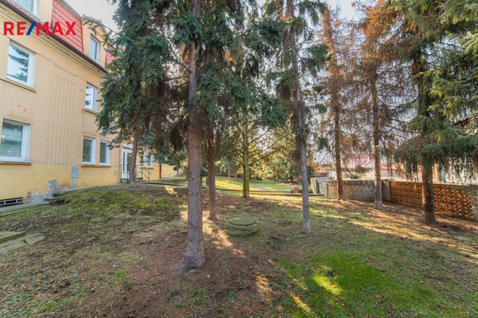 3143982.jpg 3143982.jpg