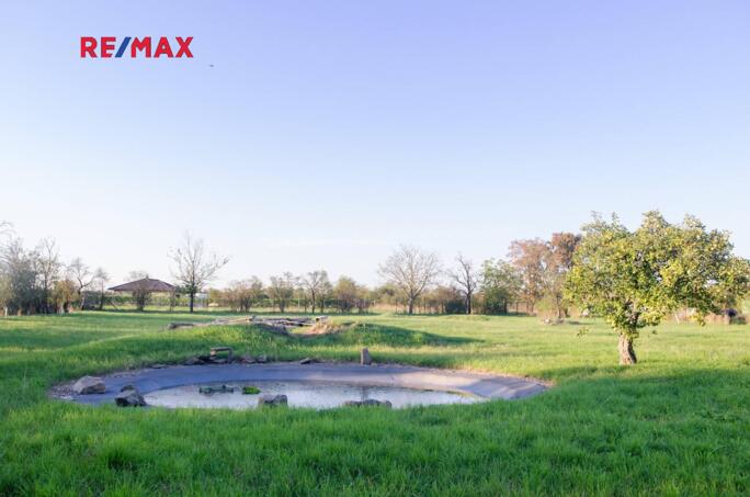 Prodej rodinného domu 280 m2 s hospodářským stavením, pozemek 4 901 m2 - obrázek 6