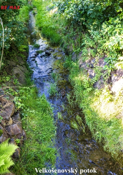 2926553.jpg 2926553.jpg