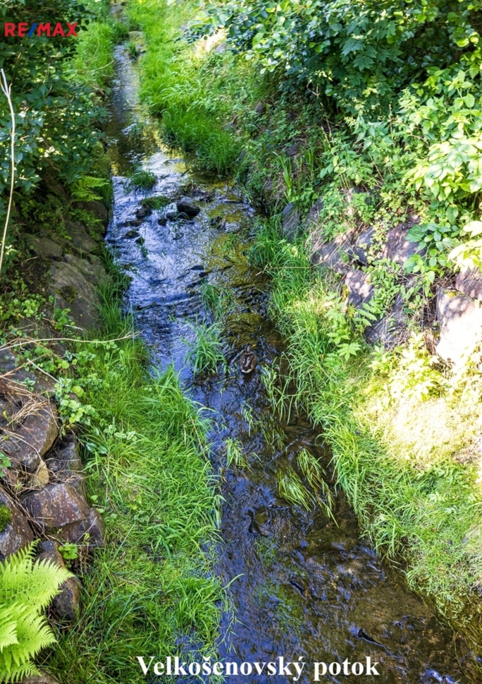 2926553.jpg 2926553.jpg