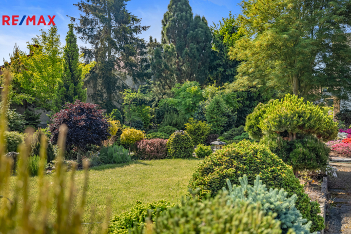 2816141.jpg 2816141.jpg